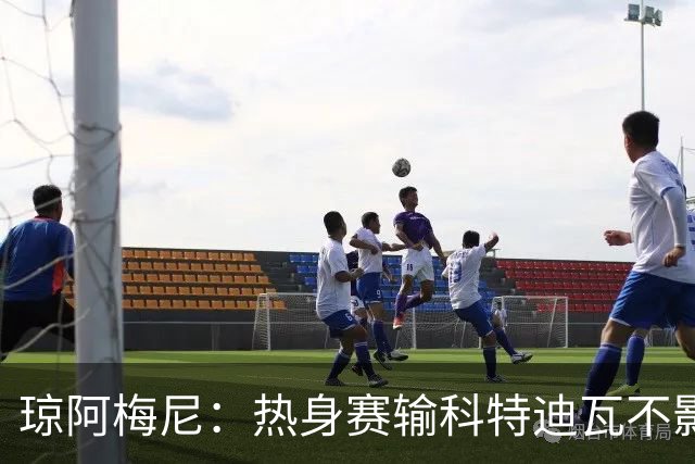 琼阿梅尼：热身赛输科特迪瓦不影响法国，可以说是一次小小的提醒